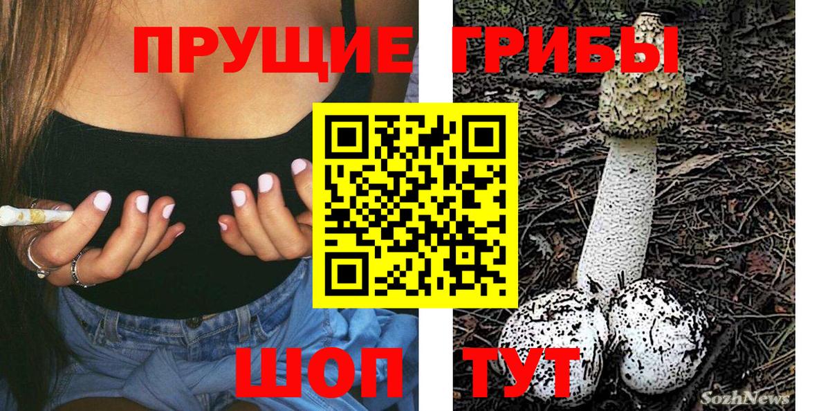 Галлюциногенные грибы прущие грибы  Вход с VPN  Котлас 