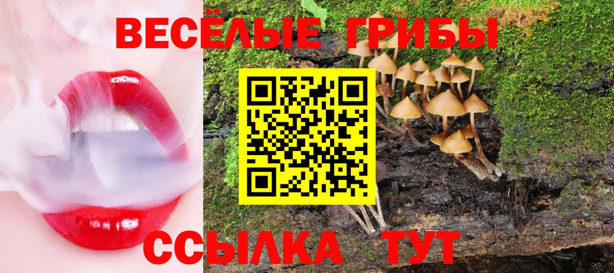 Псилоцибиновые грибы прущие грибы Котлас