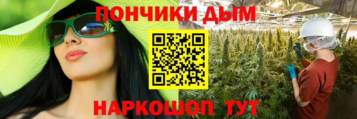 Конопля Bruce Banner  Вход с VPN  Марихуана тримм  Котлас  Конопля ГИДРОПОН 